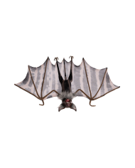Hanging upside down bat h.cm.37 with hangtag/label