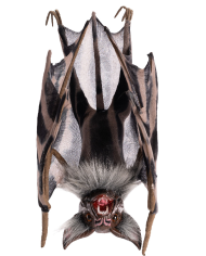 Murciélago invertido para colgar de unos 37 cm. de alto con etiqueta colgante/etiqueta