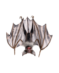 Hanging upside down bat h.cm.37 with hangtag/label