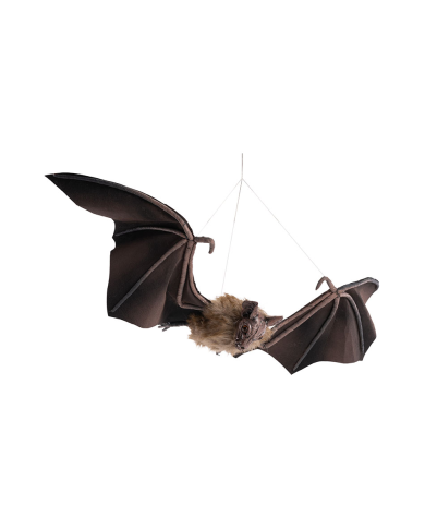 Fledermaus zum Aufhängen B. ca. 90x29 cm mit Pappschild/Etikett