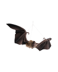 Hanging bat width 90x29 with hangtag/label