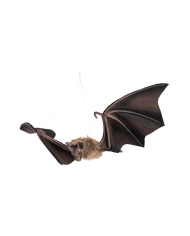 Hanging bat width 90x29 with hangtag/label