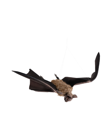 Fledermaus zum Aufhängen B. ca. 90x29 cm mit Pappschild/Etikett