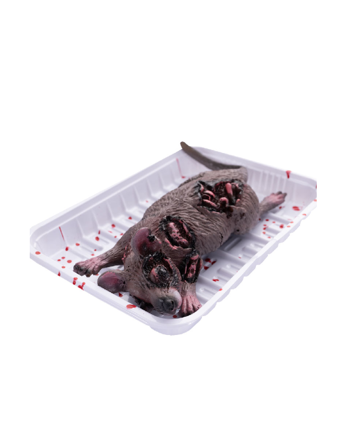 Souris en plastique sur plateau, longueur 18x13,5 cm environ avec étiquette volante/étiquette