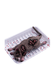 Ratón de plástico sobre bandeja de unos 18x13,5 cm. de largo con etiqueta colgante/etiqueta