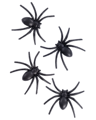 4 araignées diamètre 6 cm environ en plastique sur papier cartonné