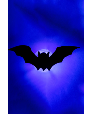 6 plastic bats with lights in pbh