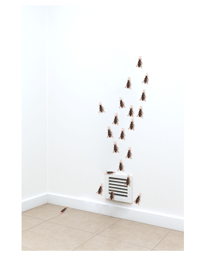 6 double-sided adhesive cockroaches l.cm.6 in plastic in pbh