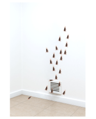 6 double-sided adhesive cockroaches l.cm.6 in plastic in pbh