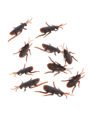 6 double-sided adhesive cockroaches l.cm.6 in plastic in pbh
