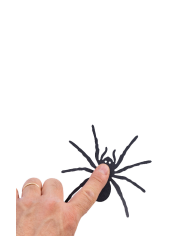 Paper spiders decorations diam.cm.10 with adhesive in pbh