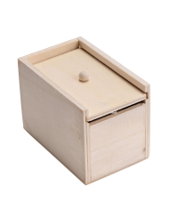 Boîte effrayante avec araignée 6x9 cm environ avec étiquette volante/étiquette