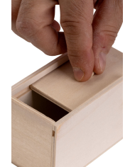 Caja de miedo con araña de unos 6x9 cm. con etiqueta colgante/etiqueta