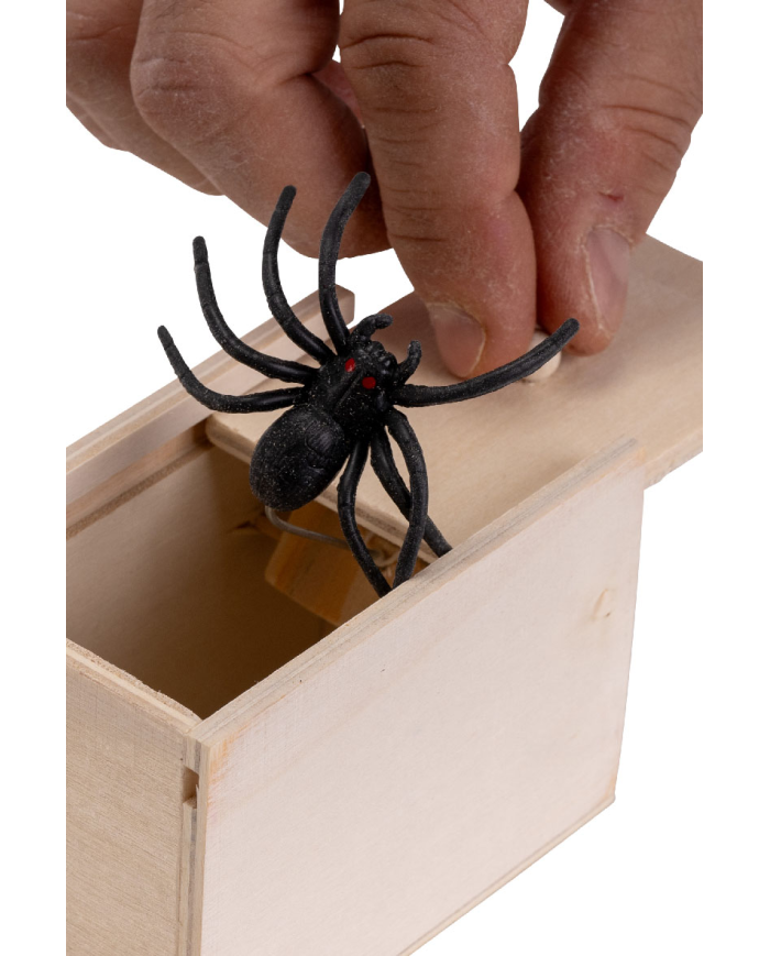 Boîte effrayante avec araignée 6x9 cm environ avec étiquette volante/étiquette