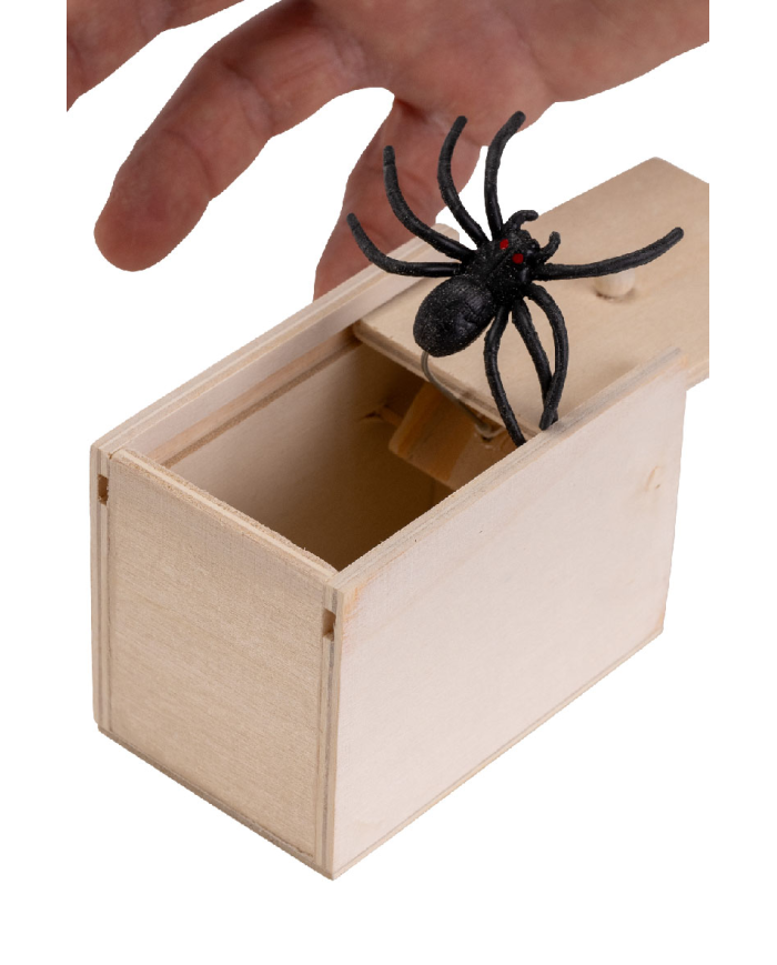 Boîte effrayante avec araignée 6x9 cm environ avec étiquette volante/étiquette