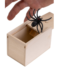 Gruselige Schachtel mit Spinne ca. 6x9 cm mit Pappschild/Etikett