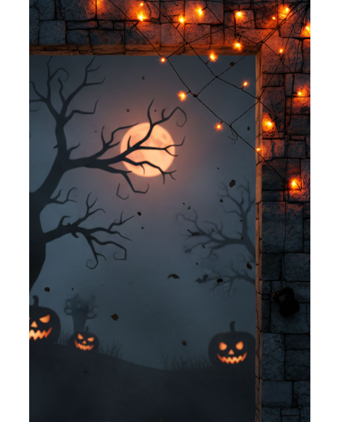 Ragnatela luminosa diam.cm.60 ca.(batt.escluse) in scatola