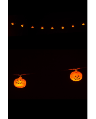Lighting pumpkin garland cm. 180 (batteries not incl.) in pbh