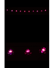 Guirlande horizontale avec araignées lumineuses, longueur 120 cm environ (piles non comprises) dans une boîte