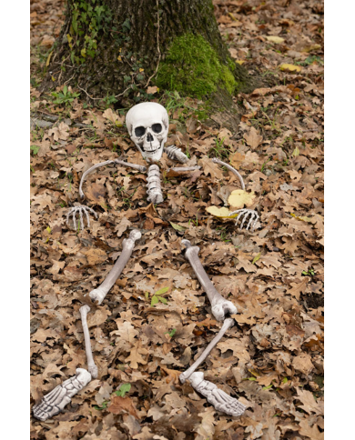 Set ossa umane (pz.16) in plastica in busta di rete con cartellino/etichetta