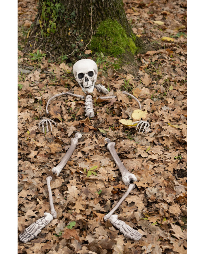 Set menschliche Knochen (16 Stk.) aus Kunststoff in Netzbeutel mit Pappschild/Etikett