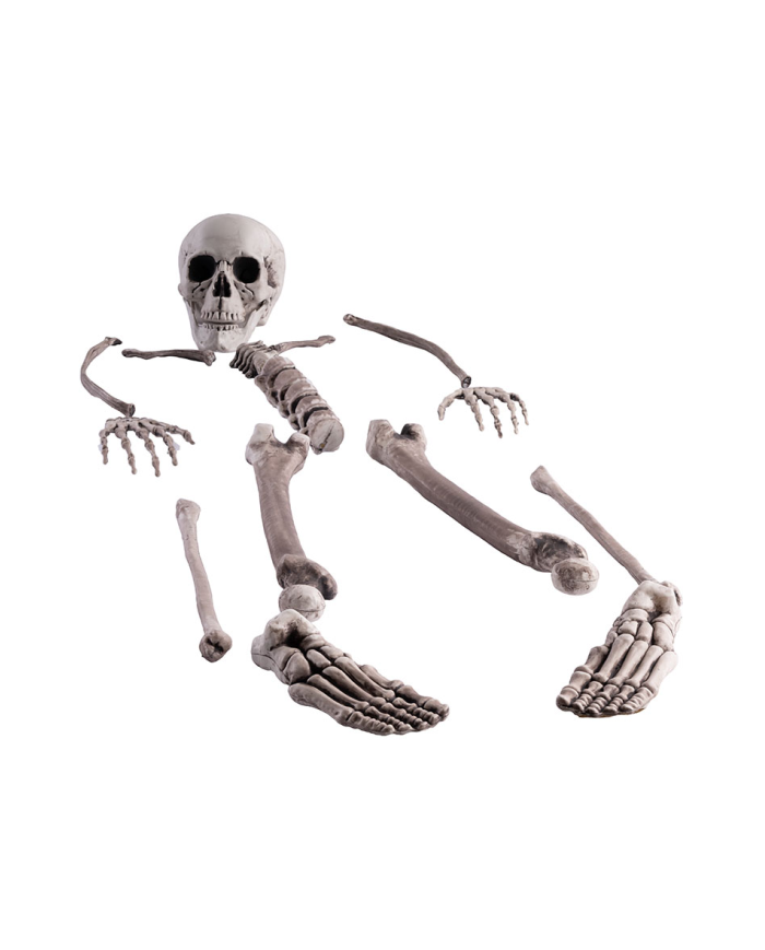 Plastic human bones in netfish bag with label