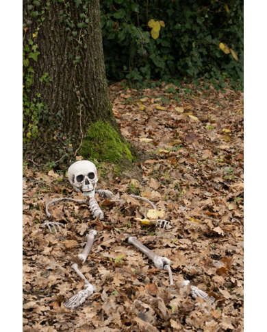 Set ossa umane (pz.16) in plastica in busta di rete con cartellino/etichetta