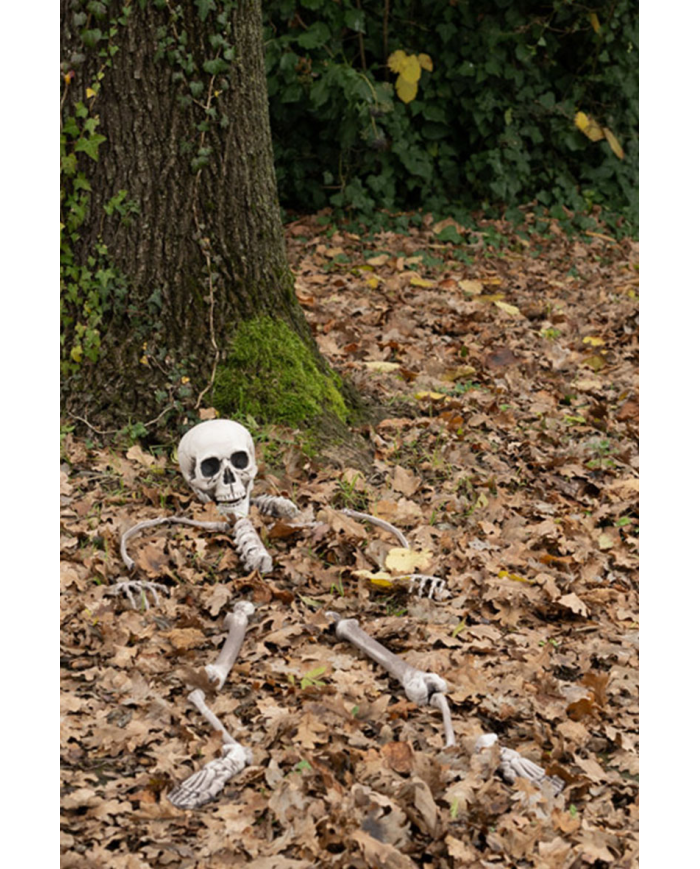 Plastic human bones in netfish bag with label