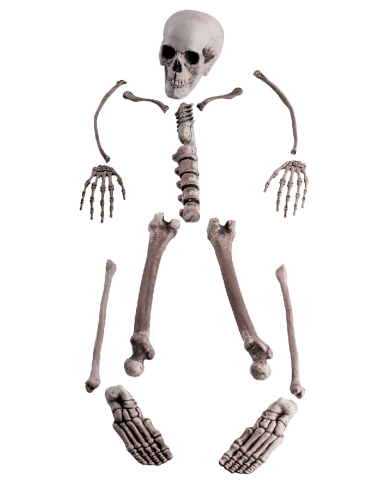 Set ossa umane (pz.16) in plastica in busta di rete con cartellino/etichetta