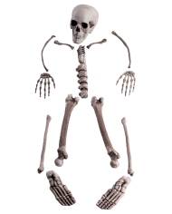 Ensemble os humains (16 pcs) en plastique dans un sachet en filet avec étiquette volante/étiquette