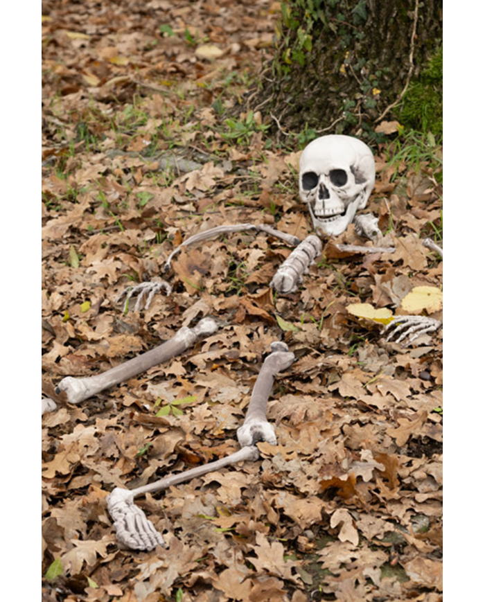 Plastic human bones in netfish bag with label