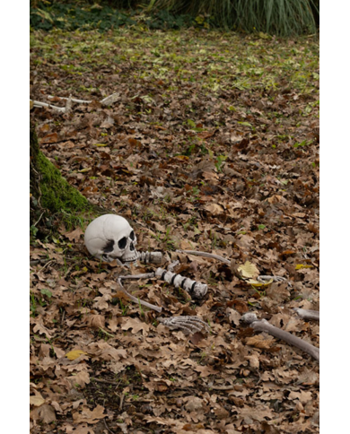 Conjunto huesos humanos (16 pzas.) de plástico en bolsa de red con etiqueta colgante/etiqueta
