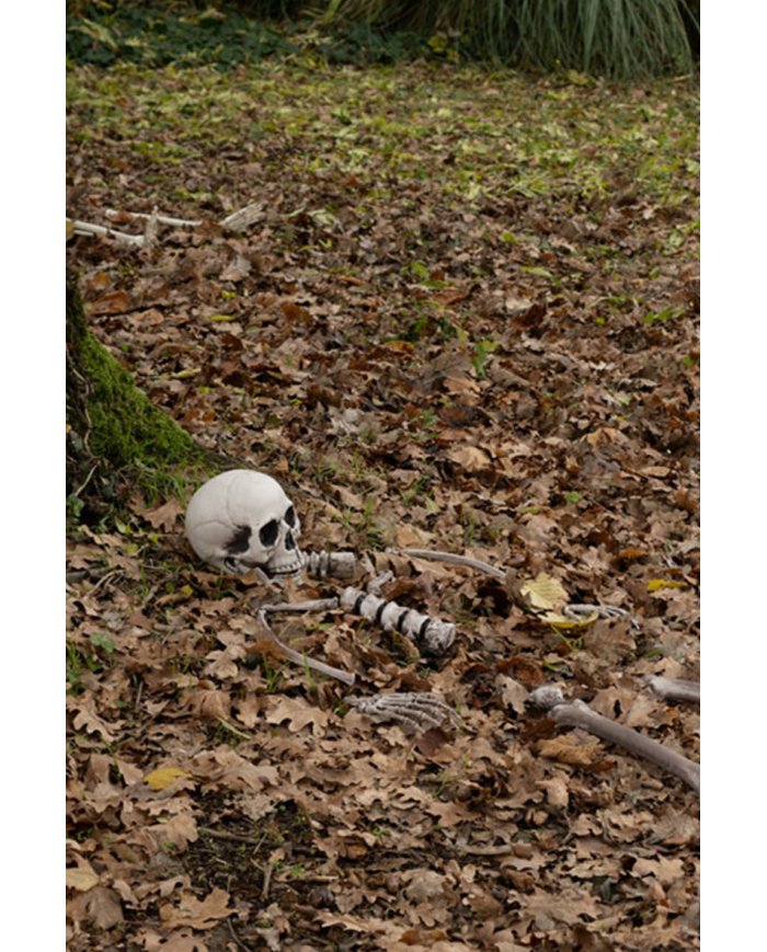 Set ossa umane (pz.16) in plastica in busta di rete con cartellino/etichetta