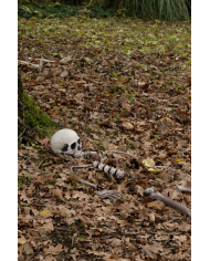 Set menschliche Knochen (16 Stk.) aus Kunststoff in Netzbeutel mit Pappschild/Etikett