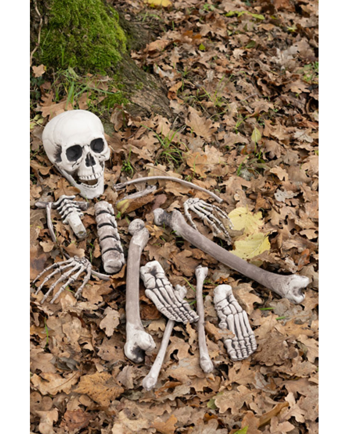 Plastic human bones in netfish bag with label