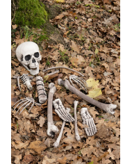 Ensemble os humains (16 pcs) en plastique dans un sachet en filet avec étiquette volante/étiquette