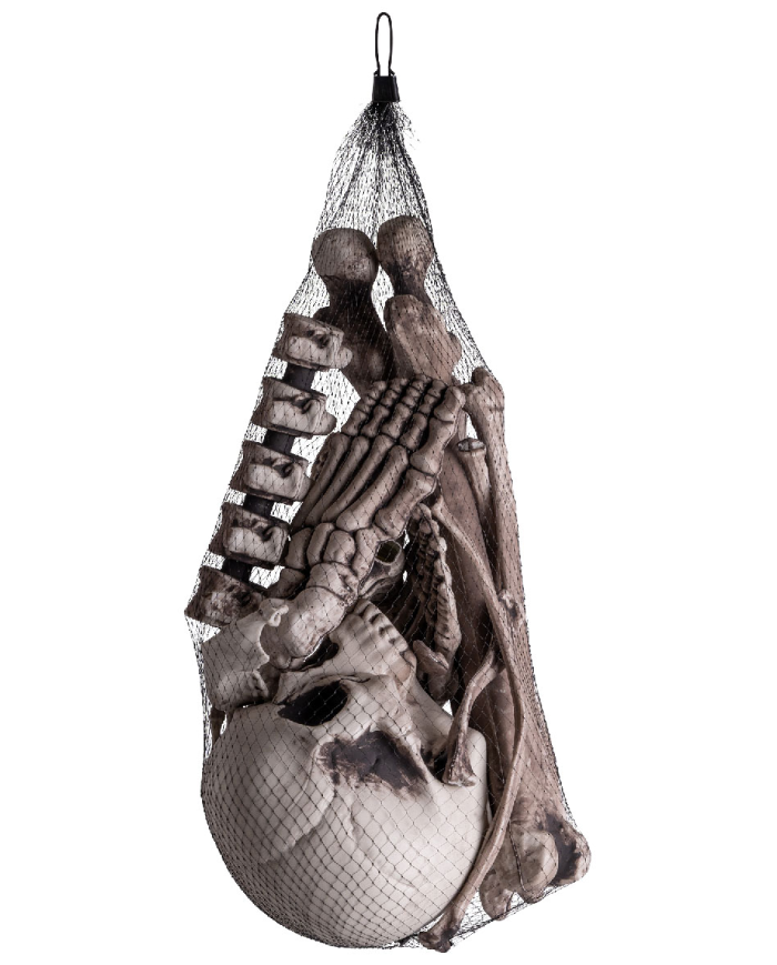 Plastic human bones in netfish bag with label