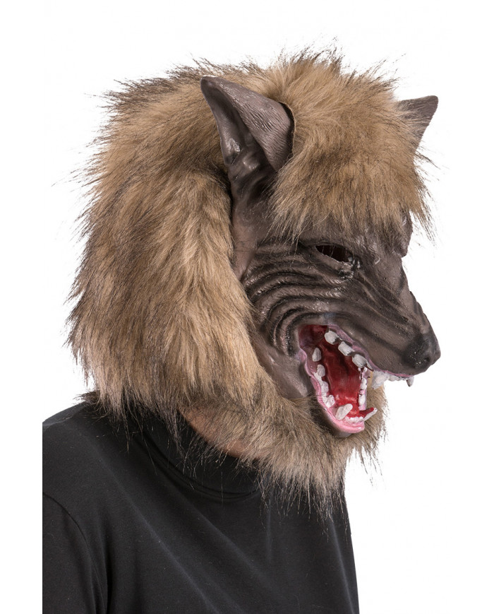 Soft pvc mask with fur, to play a ferocious werewolf. Suitable