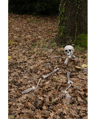 Ensemble os humains (16 pcs) en plastique dans un sachet en filet avec étiquette volante/étiquette