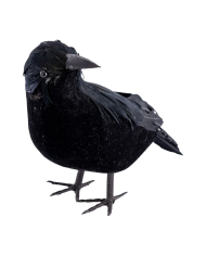 Corbeau en velours et plumes, hauteur 16 cm environ avec étiquette volante/étiquette