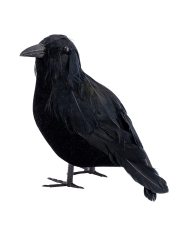Crow in velvet and feathers h.cm.16 with hangtag/label