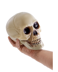 Skull with mobile jaw in plastic h.cm.18 with hangtag/label