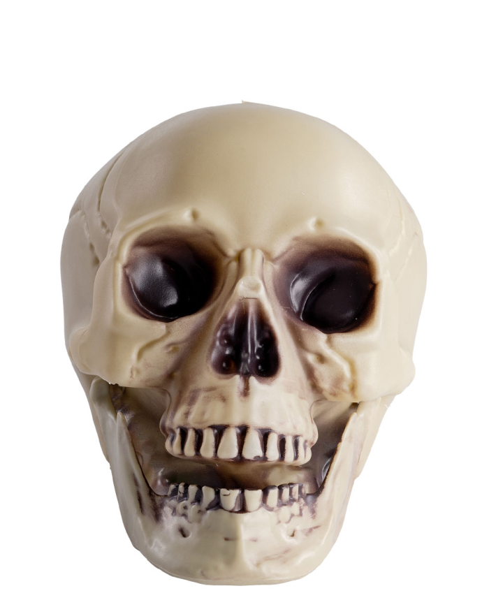 Totenkopf mit beweglichem Kiefer aus Kunststoff H. ca. 18 cm mit Pappschild/Etikett