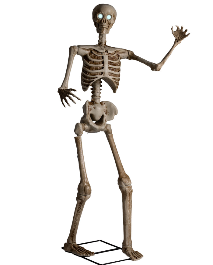 Esqueleto sobre pedestal con luces, sonido y movimiento de unos 160 cm. de alto (220 voltios) en caja