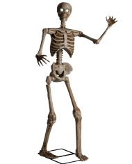 Skeleton on pedestal with ligths, sound and movement (220 volt) h.cm.160 in box