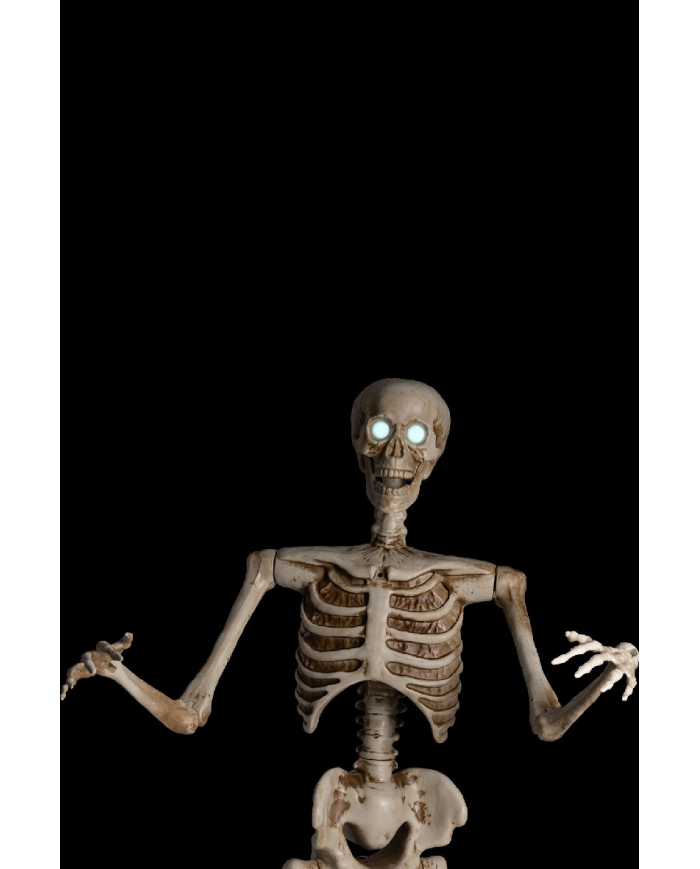 Skeleton on pedestal with ligths, sound and movement (220 volt) h.cm.160 in box