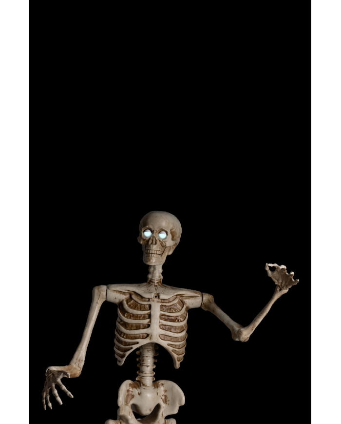 Skeleton on pedestal with ligths, sound and movement (220 volt) h.cm.160 in box