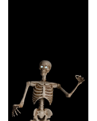 Skeleton on pedestal with ligths, sound and movement (220 volt) h.cm.160 in box