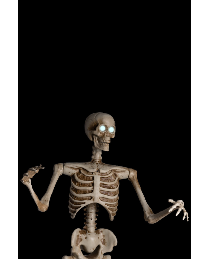 Skeleton on pedestal with ligths, sound and movement (220 volt) h.cm.160 in box