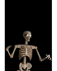 Skeleton on pedestal with ligths, sound and movement (220 volt) h.cm.160 in box